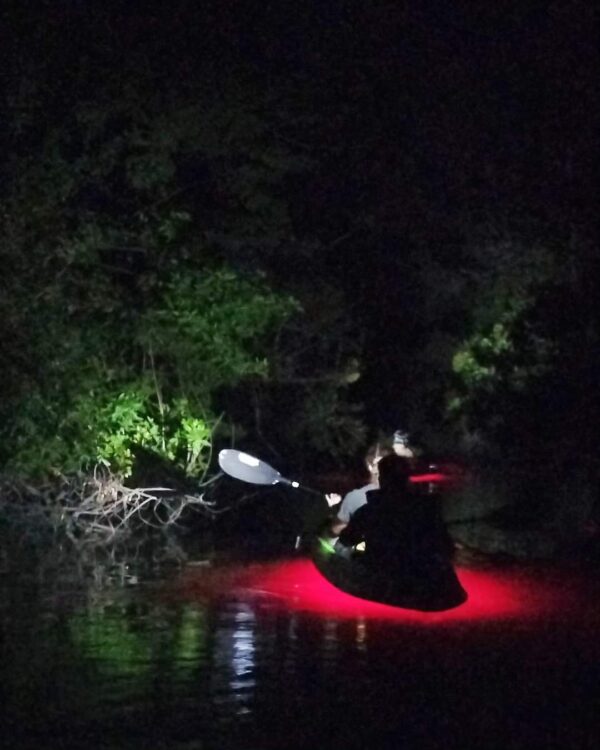 Haunted Mangroves Tour - Image 3