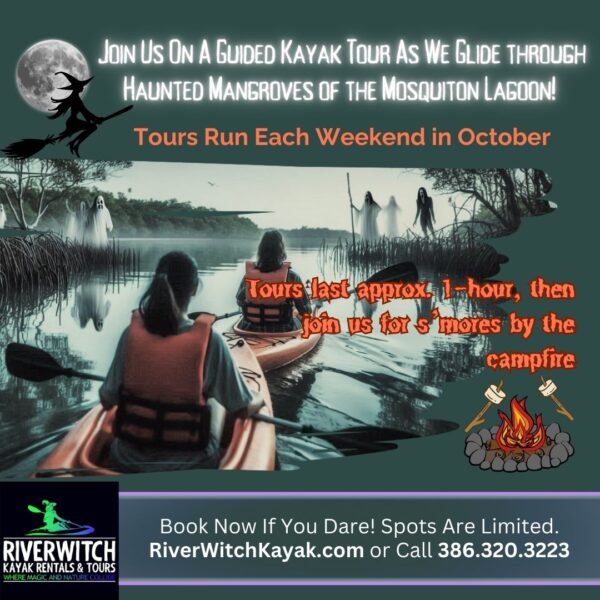 Haunted Mangroves Tour