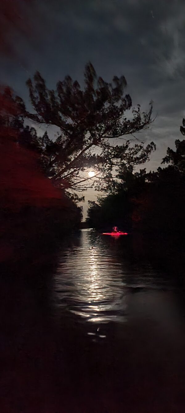 Haunted Mangroves Tour - Image 2